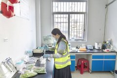<b><b>前进市场快检尝试室前进市场、厚岗市场、华英</b></b>